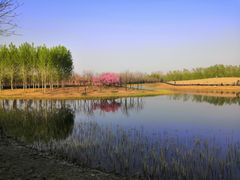 -东郊湿地公园