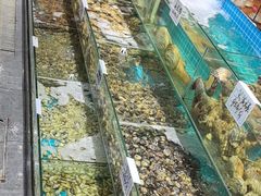 -晓伟海鲜家常菜