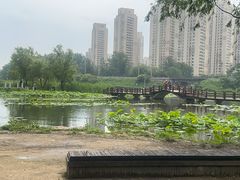 -前关湿地公园