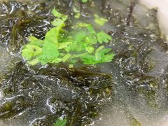 -蔡记包子(百花路店)