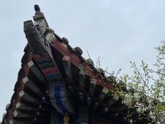 -洛阳白马寺