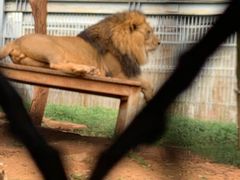 -昆明动物园