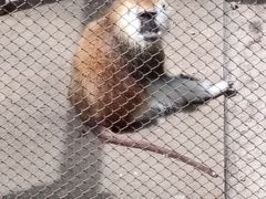 -合肥野生动物园
