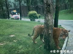 -北京野生动物园