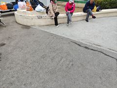 -中国人民解放军总医院