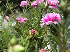 -益禾堂(新都会店)