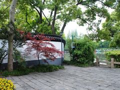 -汇龙潭