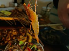 -五样儿西昌小签签烤串(建设路店)