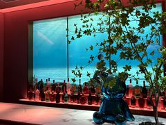 -纯K(打浦桥店)