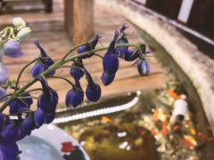 -龙源茶坊(白银路店)