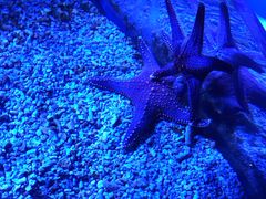 -波塞冬旅游度假区