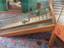 -泡泡米POPOME益智乐园(洪殿花园旗舰店)