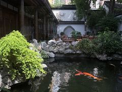 -鲤院·新中式美学·庭院餐厅(夫子庙店)