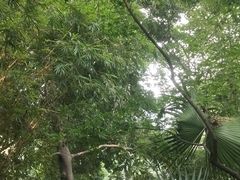 -成都市活水公园