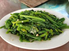 炒南瓜苗-天强农家菜馆