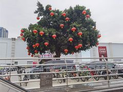 -银记肠粉(文昌北路店)