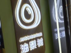 -油梨树AVOCADO TREE(望京店)
