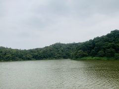 -李小龙乐园(顺德均安店)