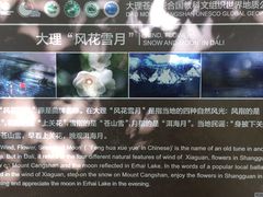 -苍山感通索道