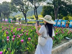 -东南花都花博园