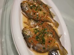 -大东海海鲜酒楼(渔人码头总店)