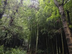 -杭州半山国家森林公园