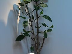 -争渡心理咨询全国连锁(福田店)