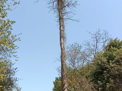 -南宁花花大世界景区