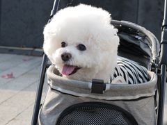 -全心全意连锁动物医院·特色中医诊疗(会城门分院)