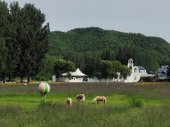 -紫海香堤香草艺术庄园