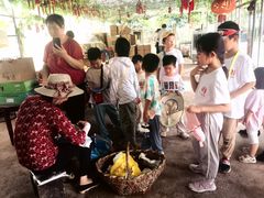 -马陆小张葡萄园农家乐