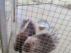 -武汉紫薇都市田园