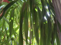 -伊斯麦尔丝路·新派菜(沙子口店)