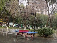 -天阳亲子广场(钱江新城店)