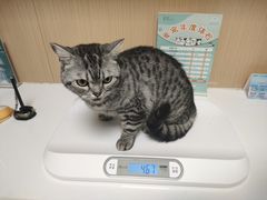 -谐和益家动物医院·免疫绝育·血液透析·宠保定点医院(高新伊藤分院)