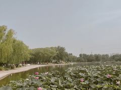 -太阳宫公园