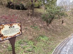 -东莞植物园