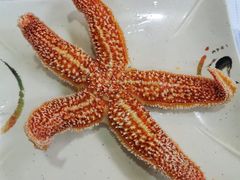 -大锅强·蒸海鲜青岛菜(吾悦广场店)