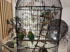 -云中漫步·足疗养生会馆(金开店)