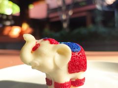 -西双版纳洲际度假酒店兰吧