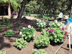 -沈阳植物园