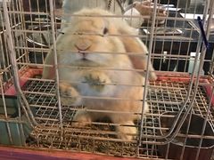 -锦尚阁烤鱼•天津菜(宣武门胡同店)