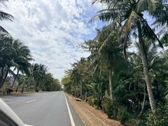 -邮电新村嘉积鸭美味园