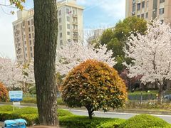 -浦江城市生活广场(江月路店)
