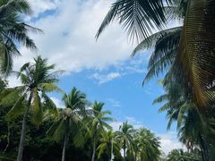 -三亚南山文化旅游区