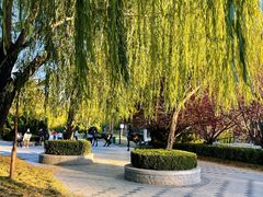 -元大都城垣遗址公园