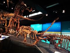 -墨尔本博物馆(Melbourne Museum)