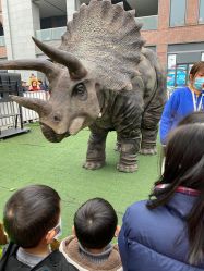 -恐龙探索乐园(磁器口店)