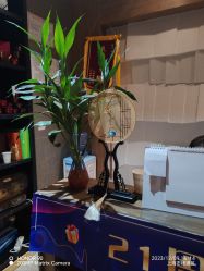 -香秀空间科技抗衰·美容中心