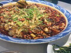 -新概念来凤鱼(璧山店)
